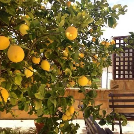 Mara Отель типа 