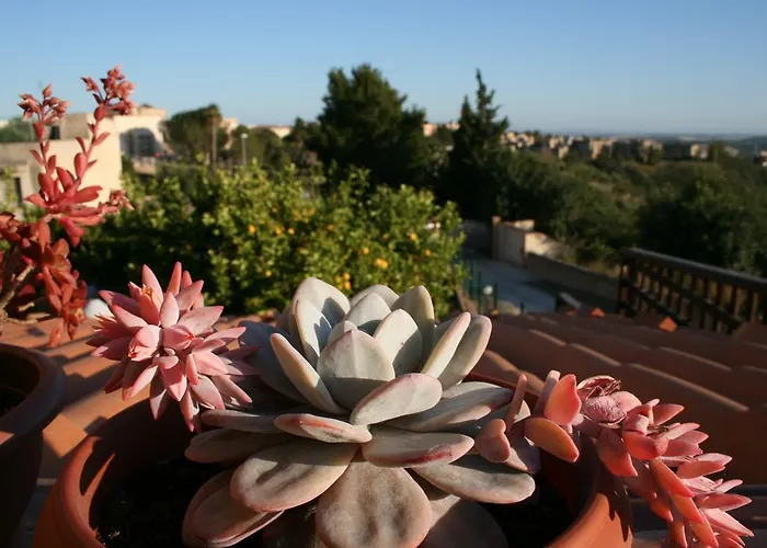 Mara Отель типа 