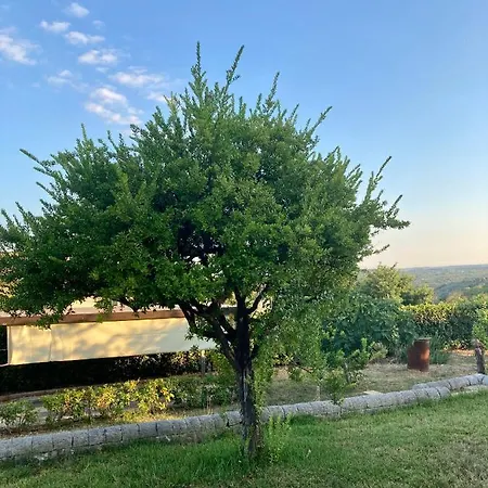Mara Νότο