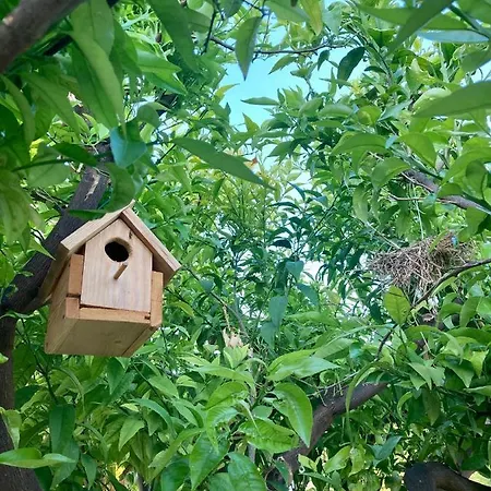 ベッド・アンド・ブレックファスト Mara 3*