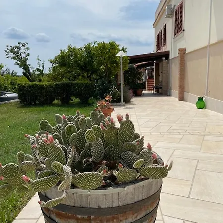 Bed and breakfast Mara