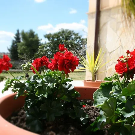 Bed & Breakfast Mara Noto
