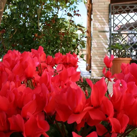 Mara Bed and breakfast Noto