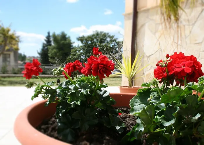 Bed & Breakfast Mara Noto
