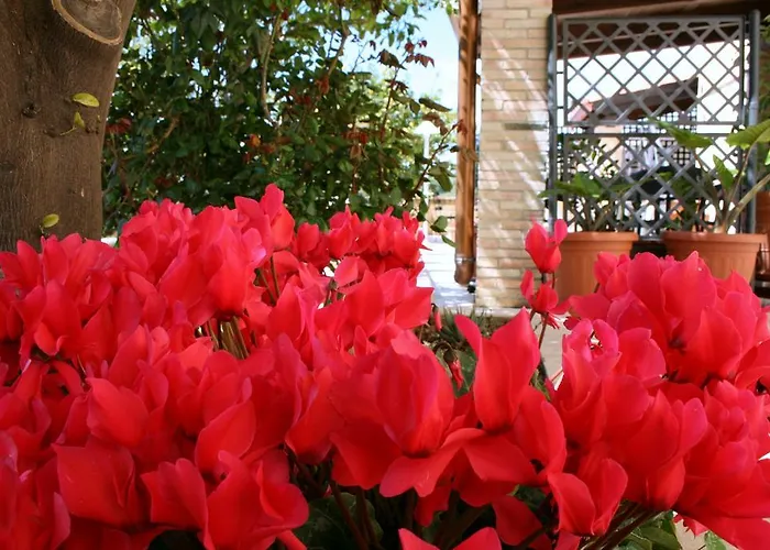 Mara Bed & Breakfast Noto