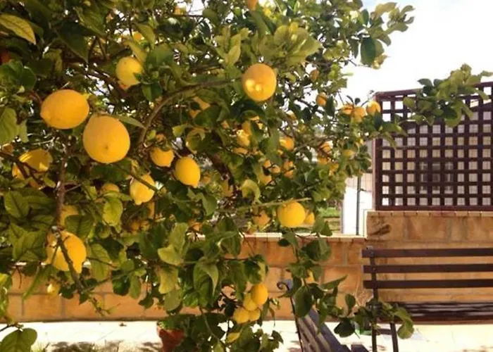 Mara Bed & Breakfast